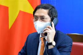 Bộ trưởng Bộ Ngoại giao Bùi Thanh Sơn. (Ảnh minh họa: TTXVN phát)