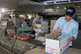 Chế biến cá hộp xuất khẩu tại Khu công nghiệp Cảng cá Tắc Cậu, xã Bình An, huyện Châu Thành (Kiên Giang). (Ảnh: Lê Huy Hải/TTXVN)