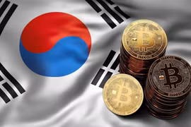 (Nguồn: regulationasia.com)