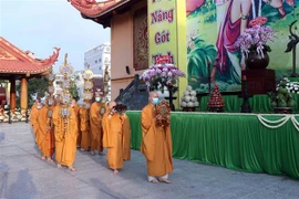 (Ảnh minh họa: Xuân Khu/TTXVN)