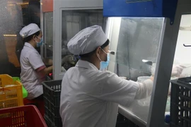 (Ảnh minh họa: Minh Trí/TTXVN)