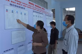 Cử tri huyện Vĩnh Thuận, Kiên Giang xem tiểu sử những người ứng cử đại biểu Quốc hội và HĐND các cấp. (Ảnh: Lê Sen/TTXVN)