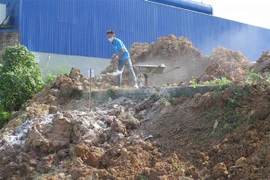 Chôn lợn chết do dịch tả lợn châu Phi. (Ảnh minh họa: Trần Trang/TTXVN)