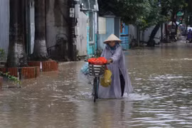 (Ảnh minh họa: Xuân Tiến/TTXVN)