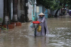 (Ảnh minh họa: Xuân Tiến/TTXVN)