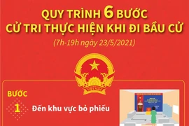 [Infographics] Quy trình 6 bước cử tri thực hiện khi đi bầu cử