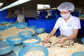 Thúc đẩy quan hệ thương mại Việt Nam-Kazakhstan