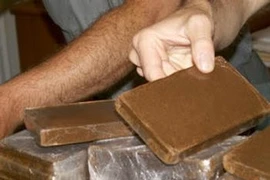 Albania phá đường dây bán ma túy sang Italy, Hy Lạp