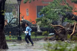 Ít nhất 100 người thiệt mạng tại Philippines vì bão Haiyan