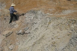 (Ảnh chỉ có tính minh họa: K GỬIH/TTXVN_)