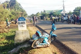 (Ảnh chỉ có tính minh họa Tuấn Anh/TTXVN)