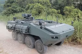Xe thiết giáp chở quân mã hiệu Terrex. (Nguồn: Army Recognition)