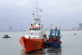 (Ảnh minh họa: Trần Lê Lâm/TTXVN)