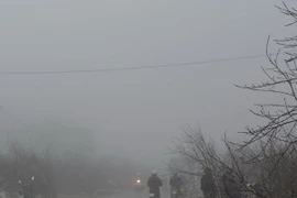 (Ảnh minh họa: Công Luật/TTXVN)