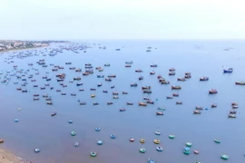 (Ảnh minh họa: Mạnh Linh/TTXVN)