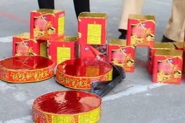 (Ảnh minh họa: Việt Hùng/TTXVN)