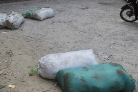 (Ảnh minh họa: Trịnh Duy Hưng/TTXVN)