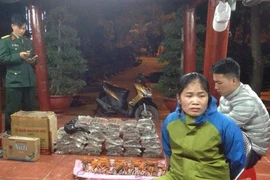 Nguyễn Thị Thúy bị cơ quan điều tra bắt giữ. (Ảnh: Trung Nguyên/TTXVN)