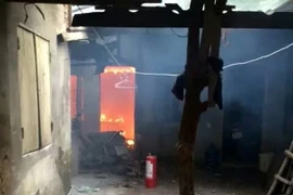 (Ảnh minh họa: TTXVN phát)