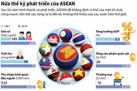 [Infographics] Những dấu mốc sau nửa thế kỷ phát triển của ASEAN