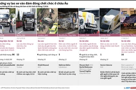 (Nhấp chuột để xem kích thước chuẩn)