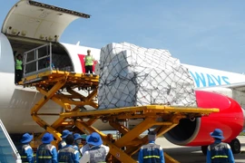 Các lực lượng tiếp nhận hàng cứu trợ của ASEAN tại sân bay quốc tế Cam Ranh. (Ảnh: Nguyên Lý/TTXVN)