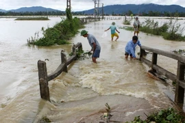 [Video] Mưa lớn tại Nghệ An gây thiệt hại lớn, làm 1 người chết