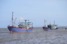 Ảnh minh họa. (Nguồn: TTXVN)