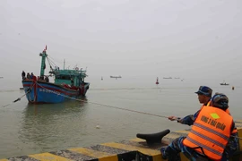 (Ảnh minh họa: Trần Lê Lâm/TTXVN)