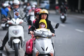 Ảnh minh họa. (Nguồn: Vietnam+)