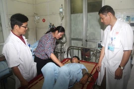 (Ảnh minh họa: Minh Tâm/TTXVN)