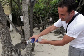 Du khách thích thú với vật nuôi trên đảo khỉ. (Ảnh: Trần Việt/TTXVN)