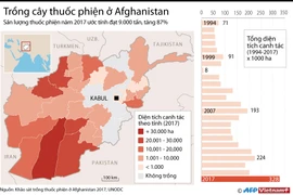 [Infographics] Choáng váng với số lượng cây thuốc phiện ở Afghanistan