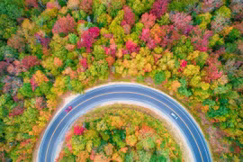 Cung đường tuyệt đẹp dọc theo xa lộ Kancamagus ở tiểu bang New Hampshire, Mỹ. (Nguồn: National Geographic)