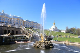 Cung điện mùa Hè (Peterhof) là quần thể kiến trúc lộng lẫy với 7 công viên, 20 lâu đài và tiền sảnh, 140 đài phun nước đặc biệt. (Ảnh: Hùng Võ/Vietnam+)