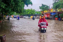 Ảnh minh họa. (Nguồn: Vietnam+)