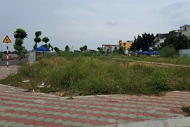 Khu vực đất vừa đấu giá tại xã Thanh Cao, huyện Thanh Oai, thành phố Hà Nội. (Ảnh: Hùng Võ/Vietnam+)