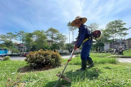 Ảnh minh họa. (Nguồn: Vietnam+)