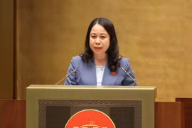 Phó Chủ tịch nước Võ Thị Ánh Xuân. (Ảnh: Văn Điệp/ TTXVN)