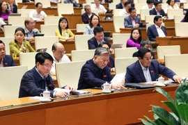 Đại biểu Quốc hội biểu quyết thông qua Luật Tư pháp người chưa thành niên. (Ảnh: Vă Điệp/TTXVN)