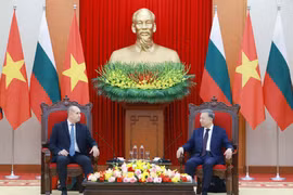 Tổng Bí thư Tô Lâm tiếp Tổng thống Bulgaria Rumen Radev. (Ảnh: Thống Nhất/TTXVN)