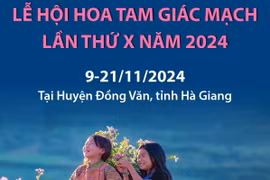 Lễ hội hoa tam giác mạch lần thứ X năm 2024