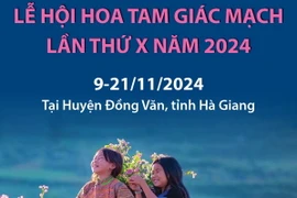 Lễ hội hoa tam giác mạch lần thứ X năm 2024