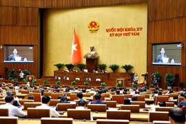 Quang cảnh phiên họp. (Ảnh: Doãn Tấn/TTXVN)