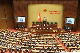 Phiên khai mạc kỳ họp thứ 8 Quốc hội khóa XV. (Nguồn: TTXVN)