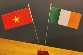 Thúc đẩy tiềm năng hợp tác Việt Nam-Ireland trong các lĩnh vực giáo dục, KHCN