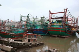 Tàu, thuyền về neo đậu tại cảng cá Mắt Rồng, xã Lập Lễ, huyện Thủy Nguyên, Hải Phòng. (Ảnh: Lâm Khánh/TTXVN)