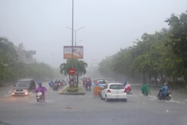 (Ảnh minh họa: Hồ Cầu/TTXVN)