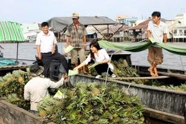 Nhân viên y tế tuyên truyền phòng chống sốt xuất huyết và dịch bệnh do virus Zika cho người dân làm ăn sinh sống trên tại chợ nổi Cái Răng (Cần Thơ). (Ảnh minh họa: Dương Ngọc/TTXVN)