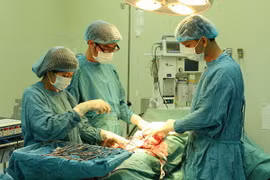 (Ảnh chỉ có tính minh họa: Thanh Sang/TTXVN)